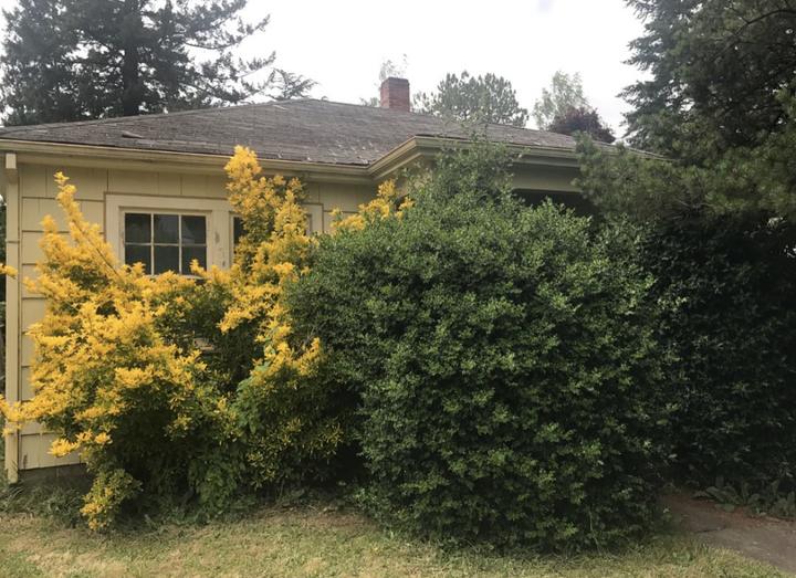 Cottage before renovation, bought as-is by Rubix